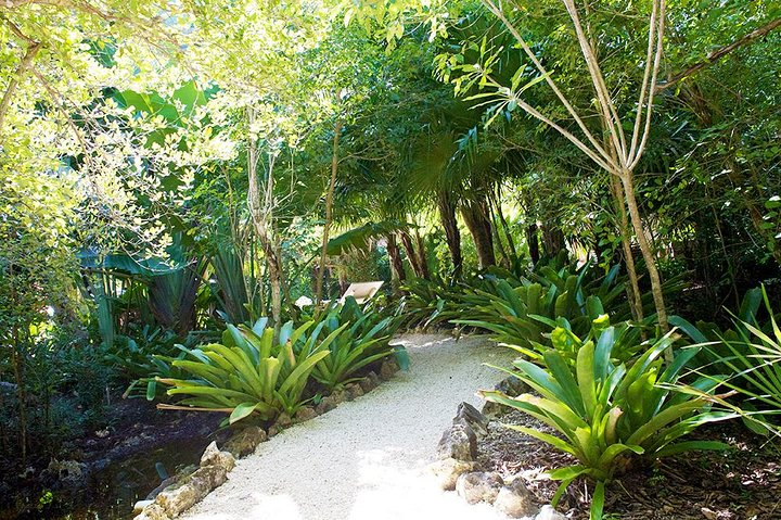 Queen Elizabeth II Botanic Park and Pedro St James Castle Tour in Grand Cayman - Photo 1 of 6